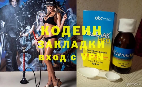 хмурый Щигры