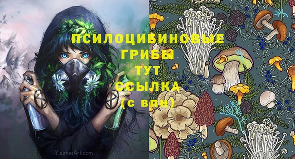 прущие крисы Алексеевка