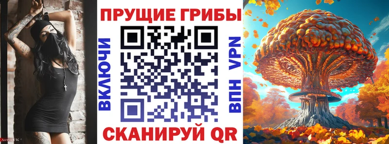 Галлюциногенные грибы Cubensis  хочу   Раменское 